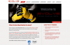 Evolve MMA