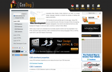 CSS Tutorials
