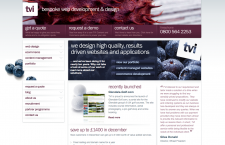 TVI Web Design